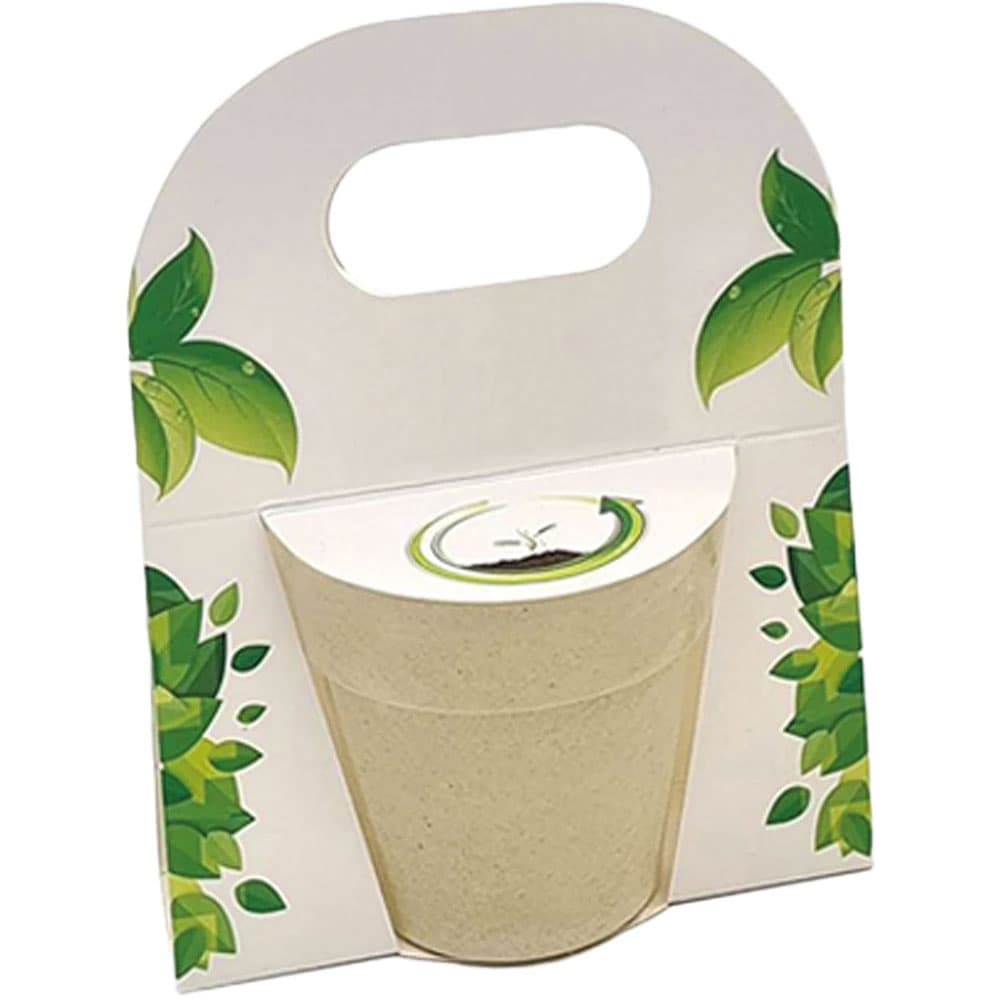 Bitki Yetiştirme Seti - 2