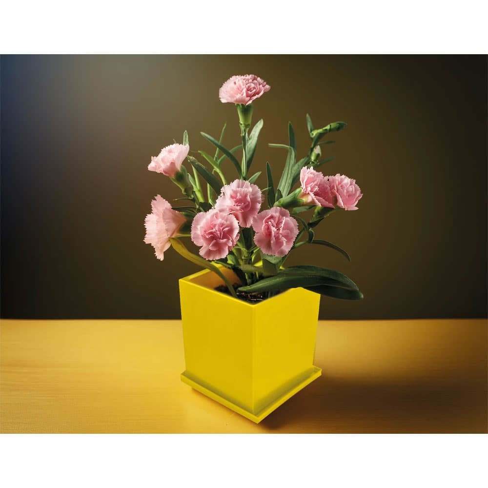 Kapaklı Bitki Dikim Seti - 2