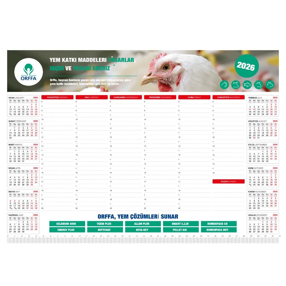 Tarihsiz Masa Sümeni