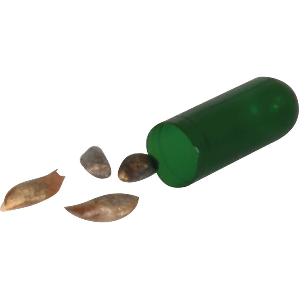 Tohumlu Kurşun Kalem - 3